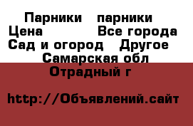 Парники   парники › Цена ­ 2 760 - Все города Сад и огород » Другое   . Самарская обл.,Отрадный г.